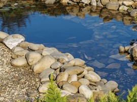 Создание искусственных водоемов