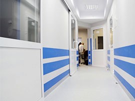 Виниловые панели для защиты стен